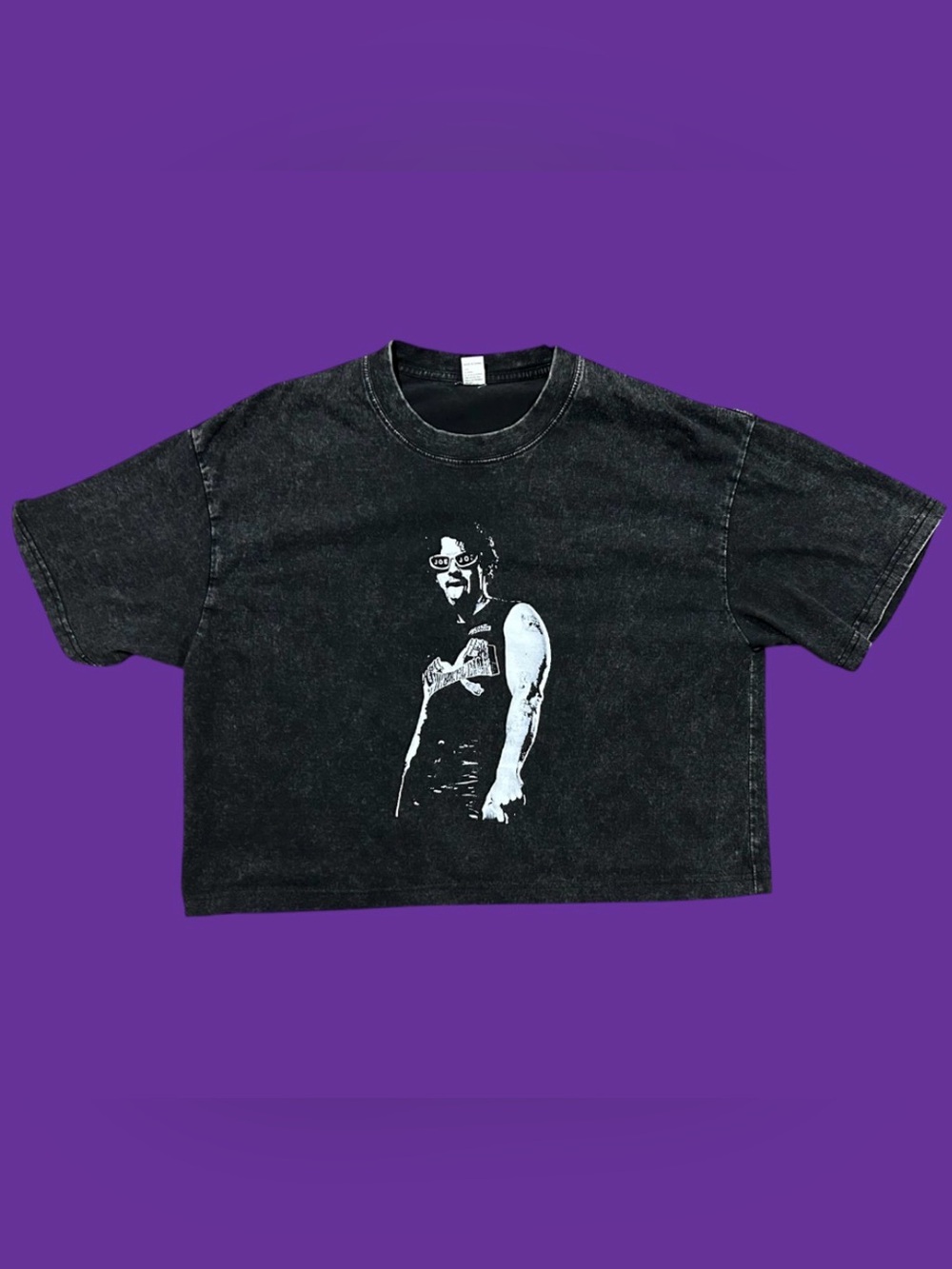Joe Jonas 20th Anniversary Living The Dream Tour 2025 Cropped Crop Top T-Shirt